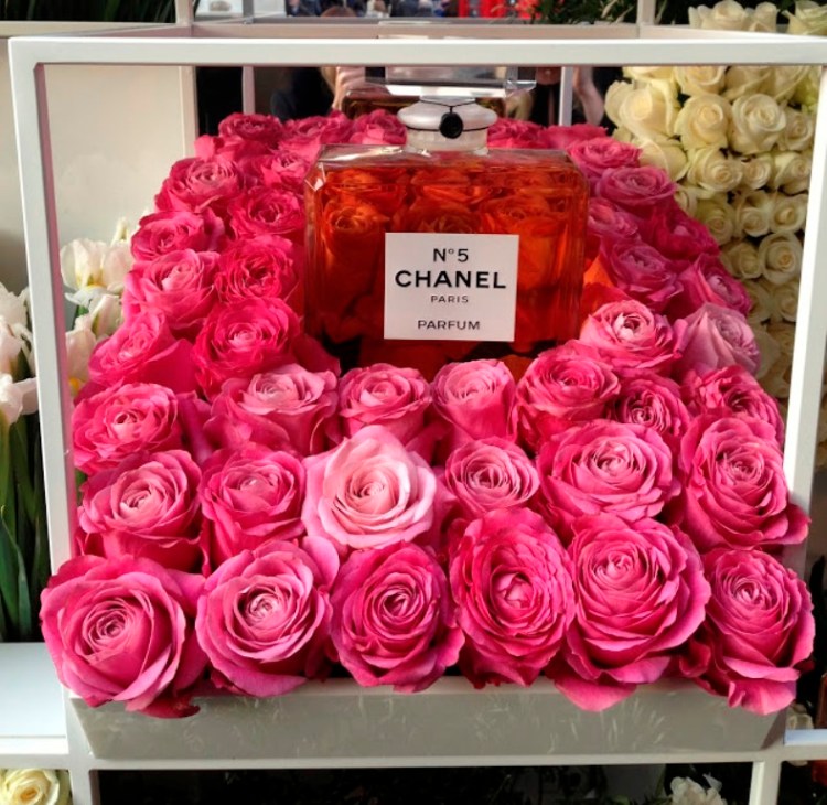 chanel6