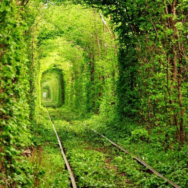 TUNNELOFLOVE